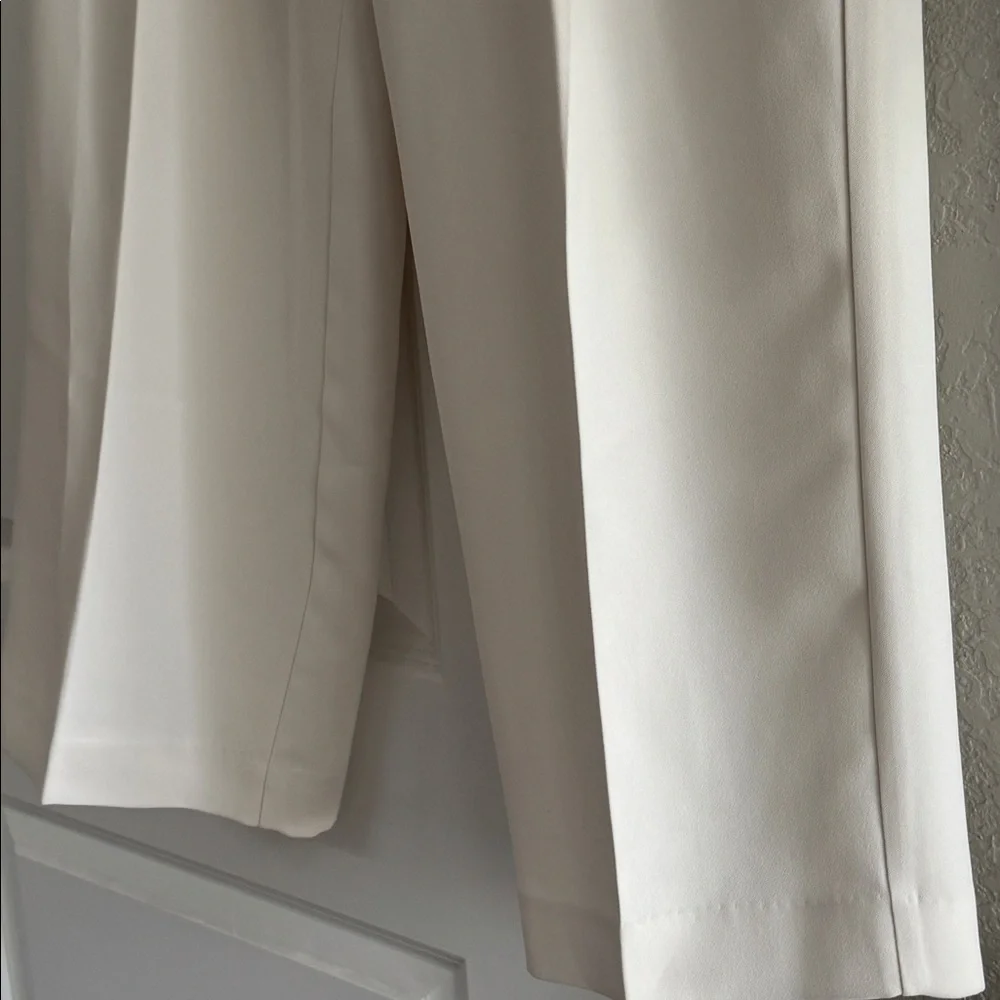 Banana Republic Pleated Wide Leg Pants - Picture 2 of 10